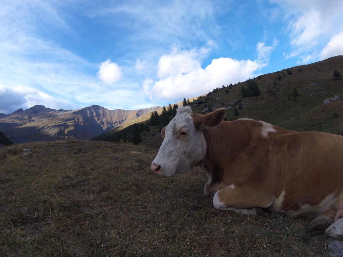 San Marco Farmhouse With A View. Sauze D'Oulx Bagian luar foto